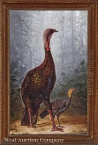 Louisiana Eastern Wild Turkeys (tom And Jake) Louisiana Eastern Wild Turkeys (tom And Jake)