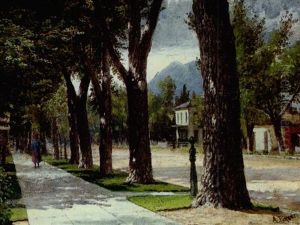 Tree Lined Street by Achille Peretti