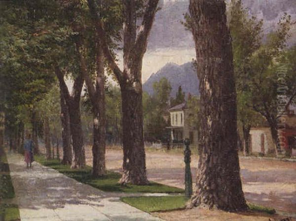 New Orleans, Tree-lined Avenue - view 1