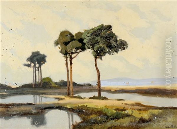 Araso - view 1