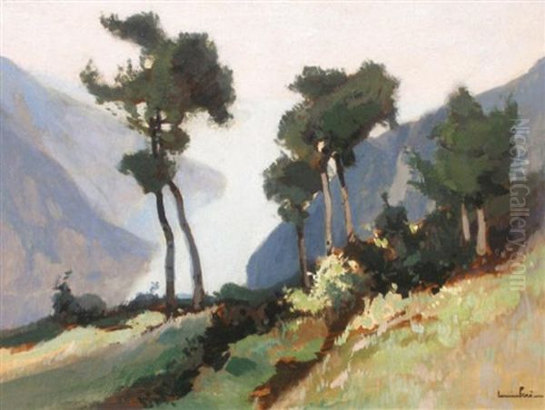 Les Pins Devant Les Calanques - view 1