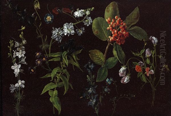 Plant Studies - view 1