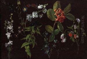 Plant Studies