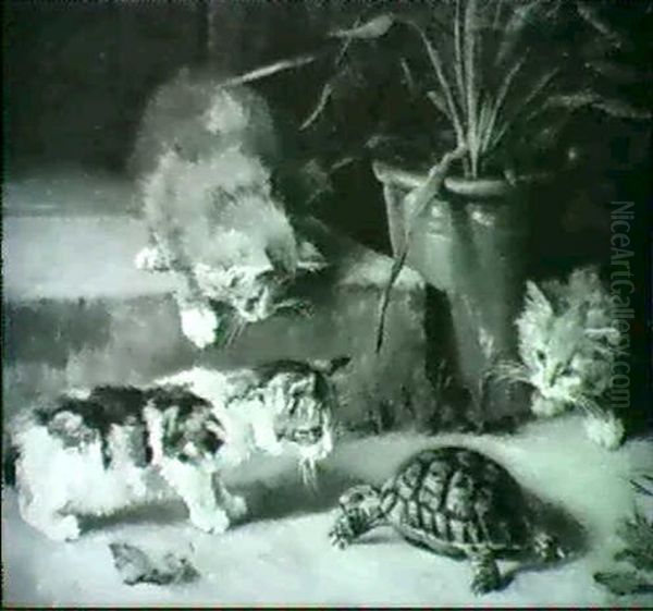 Kittens Playing With A Tortoise - view 1