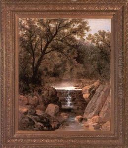 Forest Falls Forest Falls