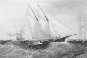 Sailing On Rough Seas