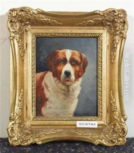 Portrait Eines Hundes
