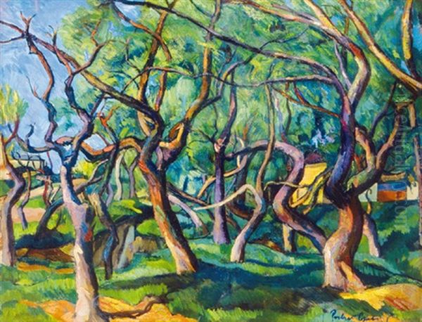 Forest Of Baia-mare - view 1