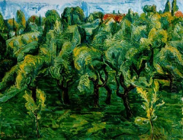 Szentendrei Gyumolcsoskert (fruit Garden In Szentendre) - view 1