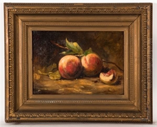 Still Life Of Peaches - view 1