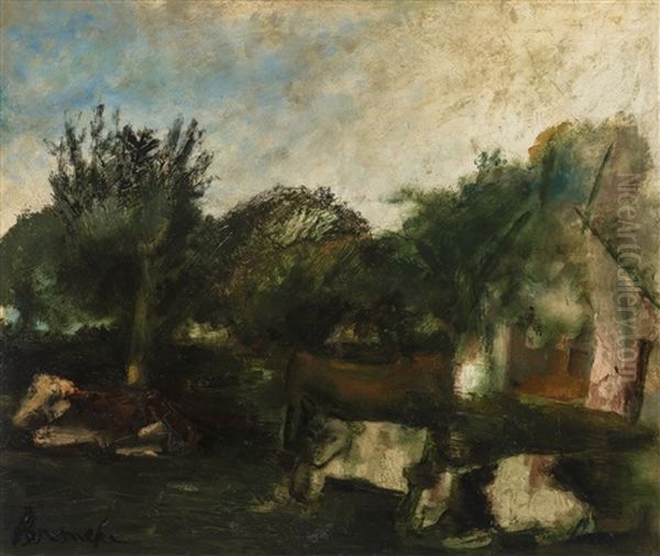 Cows Laying In The Shadow - view 1