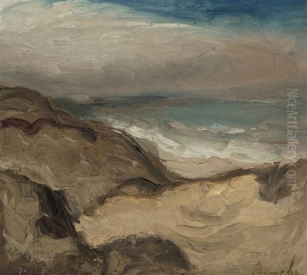 Dunes And Sea - view 1