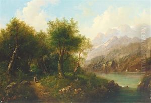 Voralpenlandschaft Mit Gebirgshintergrund An Einem Prachtvollen Sommertag