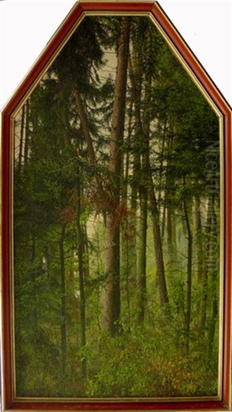 Ausschnitt Einer Waldlandschaft - view 1