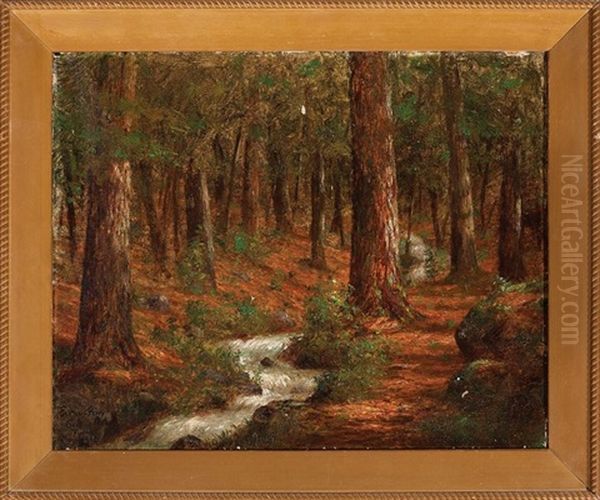 Woodland Brook Near The Village Of Seis In Tyrol - view 1