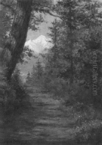 Woodland Path Leading To A Distant Summit - view 1