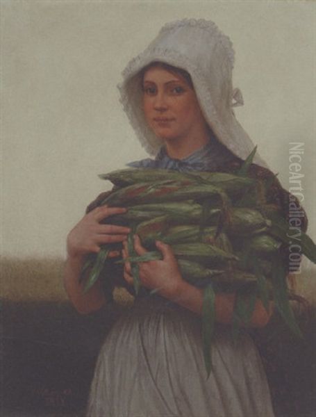 Sweet Corn - view 1