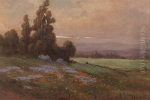 California Landscape With Poppies And Lupine by John Calvin Perry