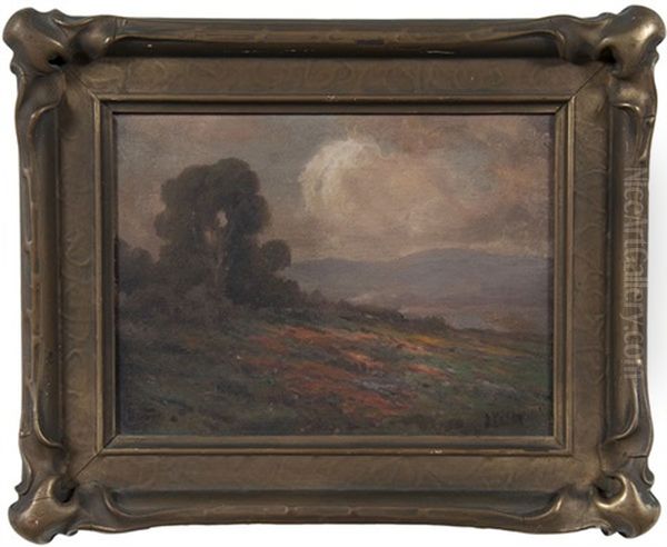 Country Hillside Landscape - view 1