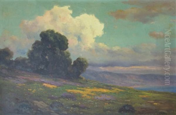 California Poppies With Cumulous Clouds And A Coastal View - view 1