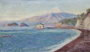 Fuji From Lava Beach