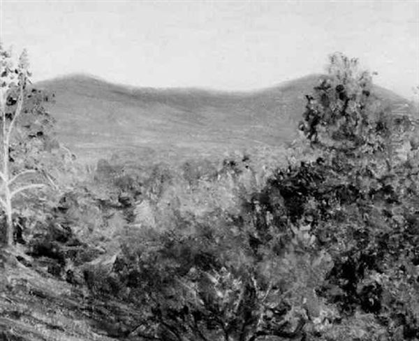 Pack - Monadnock From Hancock N.h. - view 1