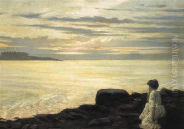 Sunset On The Coast - view 1