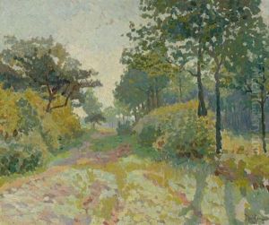 Paysage D'ete