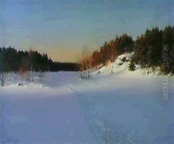 Vinterlandskap - view 1
