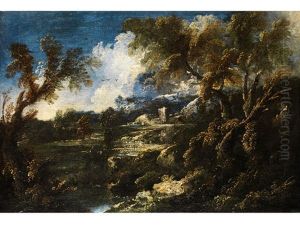 Baumlandschaft Mit Blick Auf Einen Tieferliegenden Tumpel Baumlandschaft Mit Blick Auf Einen Tieferliegenden Tumpel