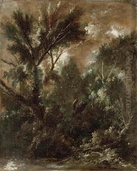 Felsige Landschaft - view 1