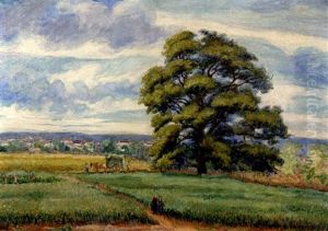 Paysage Au Chene