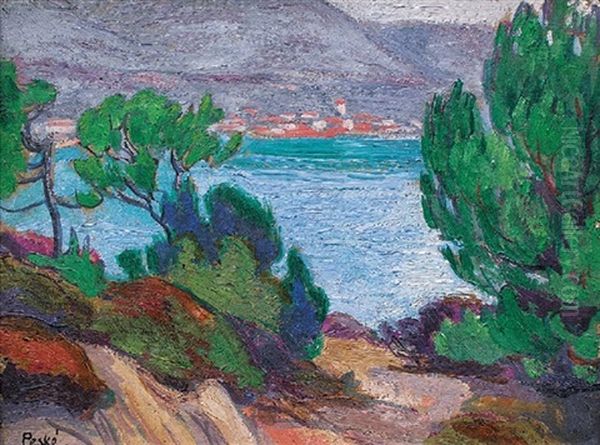 La Plage Au Lavandou - view 1