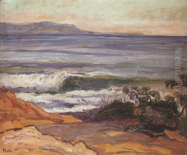 La Plage Du Lavandou (var) - view 1