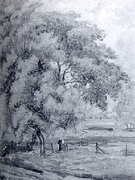 Sous Les Grands Arbres - view 1