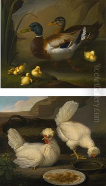 A Pair Of Ducks With Four Ducklings; Two Chickens - view 1