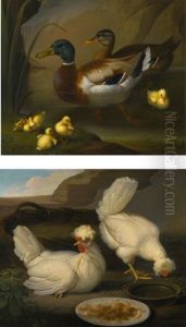 A Pair Of Ducks With Four Ducklings; Two Chickens by Wenceslaus (Wenzel) Peter
