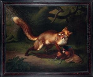 Renard Ravissant Un Faisan