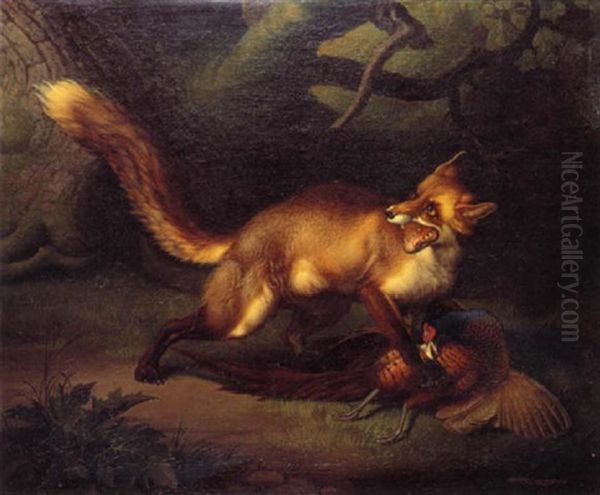 Renard Attrapant Un Faisan - view 1