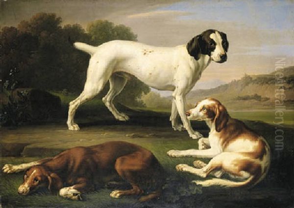 A Pointer And Two Setters In An Extensive Landscape - view 1