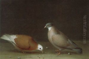 Zwei Tauben by Wenceslaus (Wenzel) Peter