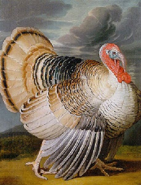 A Turkey In A Landscape - view 1