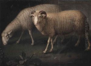 A Ram And Sheep by Wenceslaus (Wenzel) Peter