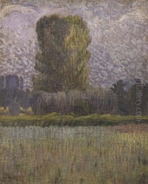 Paysage - view 1