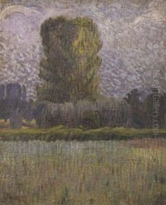Paysage Paysage