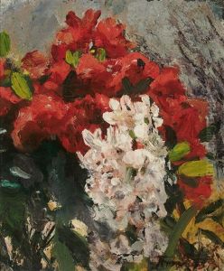 Weise Und Rote Rhododendronbluten