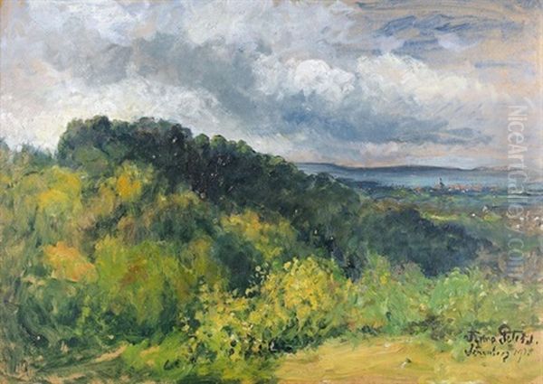 Sommerliche Landschaft Bei Sonnenberg - view 1