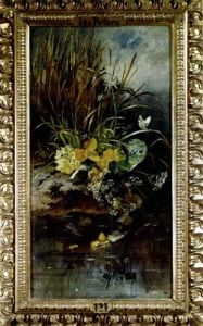 Schilfbewachsenes Seeufer Mit Vergismeinicht, Scharfgarben, Sumpfdotterblumen Und Schlusselblumen by Anna Peters