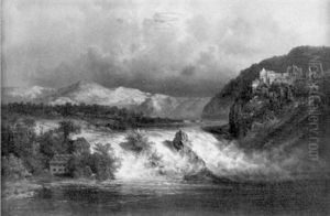Blick Auf Den Rheinfall In Schaffhausen