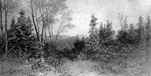 Winterabend Im Wald Winterabend Im Wald